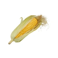 Corn Cob (Bhutta) - 1 piece