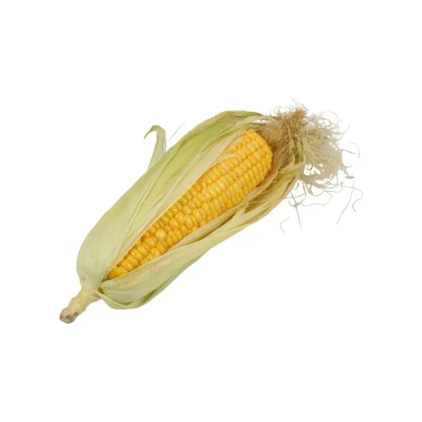 Corn Cob (Bhutta) - 1 piece