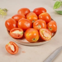 Hybrid Tomato (Hybrid Tamatar) - 500 g