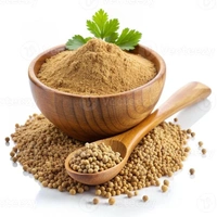 DHANIYA POWDER - 100 G