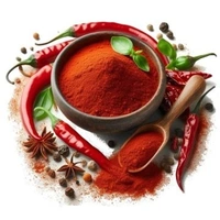 RED CHILI POWDER (MIRCH) - 100 G