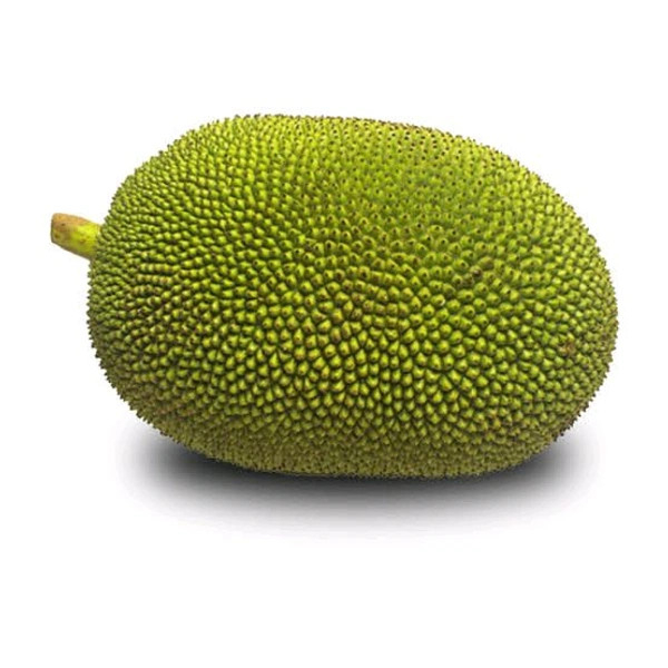 Raw Jackfruit (Fanas) - 1 Kg - 1
