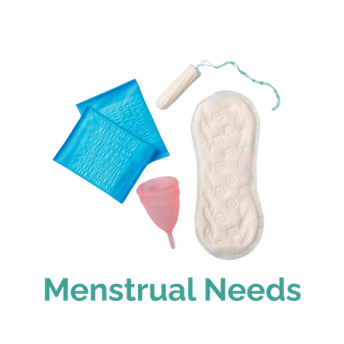 MENSTRUAL NEEDS