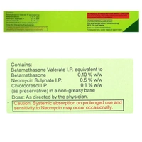 Rx BETNOVATE N SKIN CREAM-25GM - 25GM