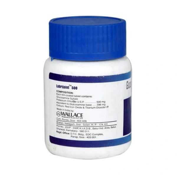 Rx LUBRIJOINT 500 - 60 TABLETS - 60 TABLETS