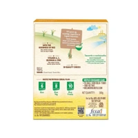 Rx NESTUM RICE(6 TO 24 MONTHS)-300GMS - 300GMS