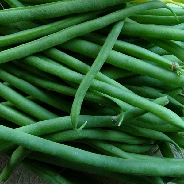 Beans - 250gms