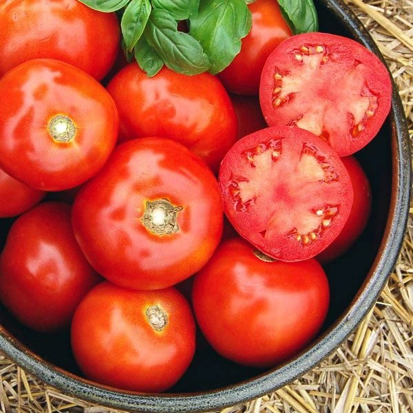 Tamatar - 1kg