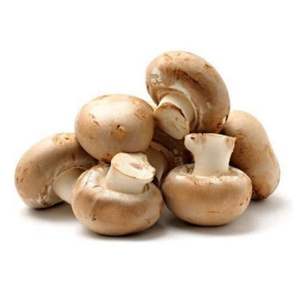 Button Mushroom - 500gm