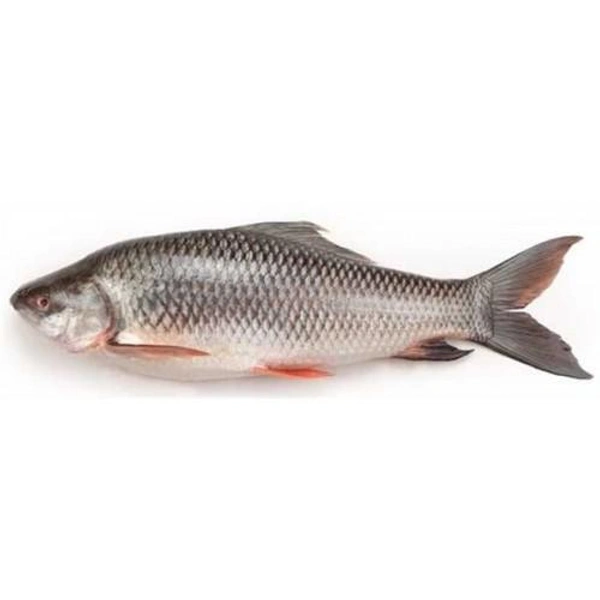 Rohu - Bengali Cut - 500gms