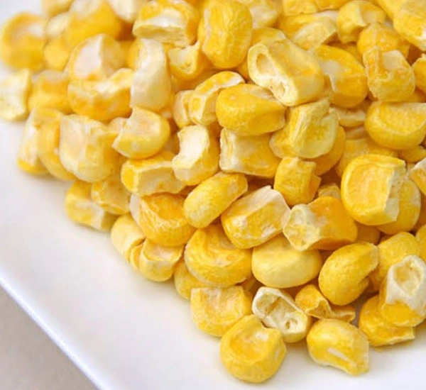 Extra Sweet Corn - Sainthia Momo Junction