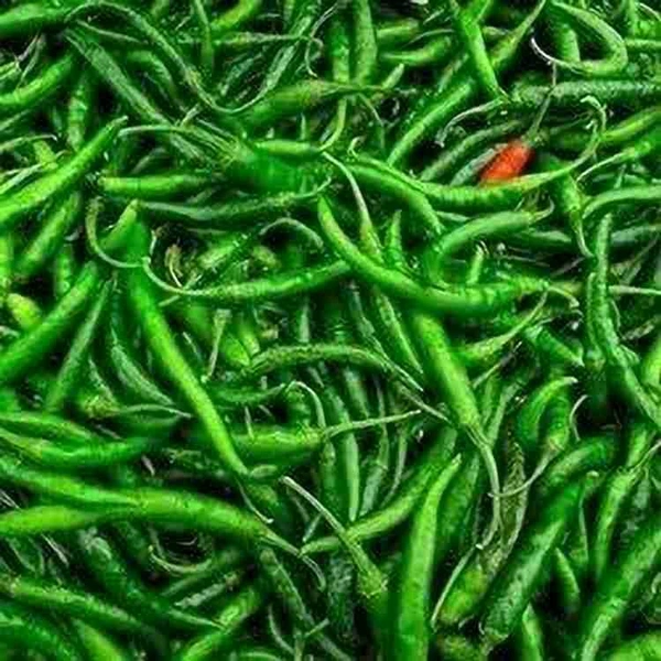 GREEN CHILLI
