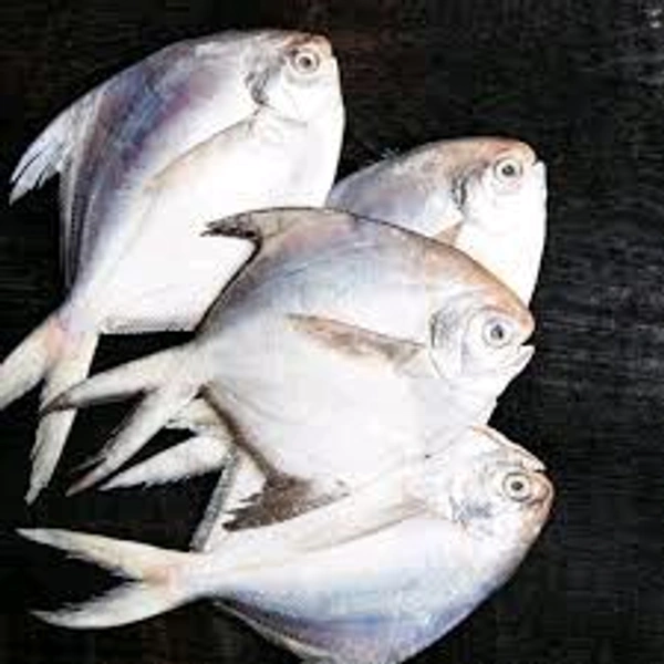 POMFRET (வவ்வால்) 