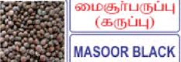 MASOORE BLACK 