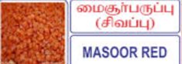 MASSOR RED