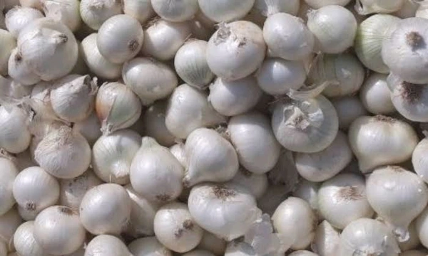 తెల్లుల్లి  - 1 Kg