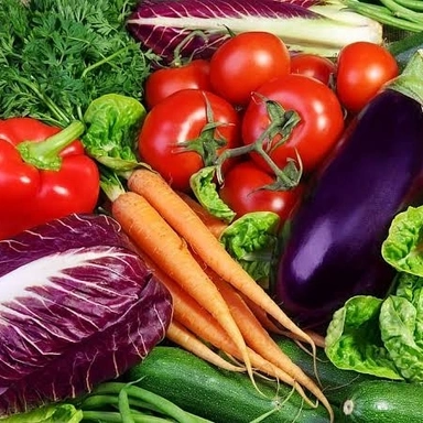 Vegetables కాయగూరలు