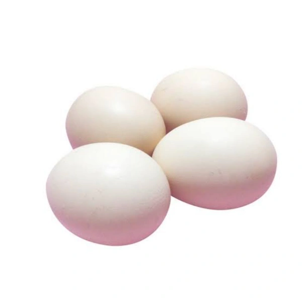 Egg - 4
