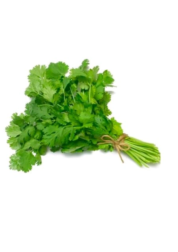 Dhaniya Pata 100gm - 100gm