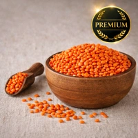 Masoor Dal মসুর ডাল (Premium )