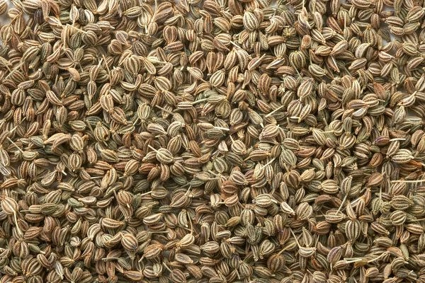 अजवाइन 100% Pure शुद्धता की गारंटी - 50gm