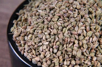 अजवाइन 100% Pure शुद्धता की गारंटी - 50gm