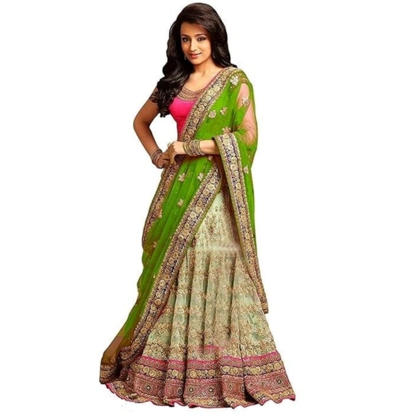  Womens Net Embroidered Lehenga Choli - Free Size