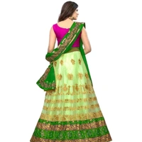  Womens Net Embroidered Lehenga Choli - Free Size