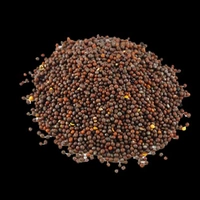Rai (राई) 500gm पैकेट
