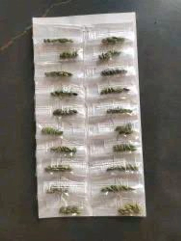 Masala Pata Mrp 10 - Long लोंग