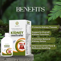 Only Ayurved's Kidney Reactivator - 500 ml