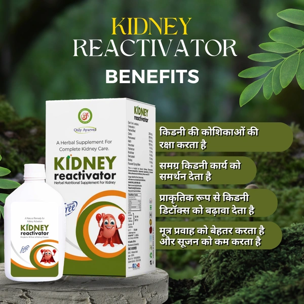 Only Ayurved's Kidney Reactivator - 500 ml