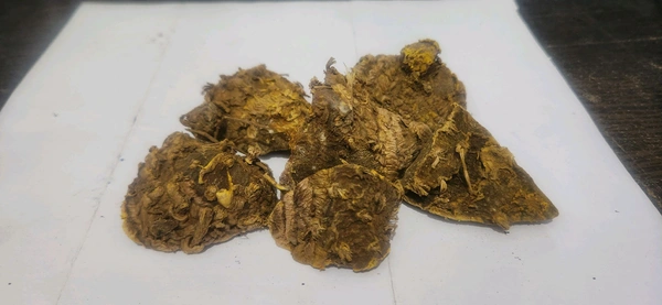 Amba Haldi - अम्बा हल्दी - 250 gm