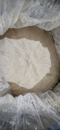 Non GMO SunFlower Lecithin - 1 Kg