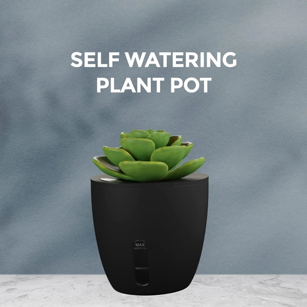 EO eo Pen Stand for Study Table with Self-Watering Plant Pot, Glasses & Smartphone Holder – Desk Organizer & Pencil Holder for Office, Home, Kids, Students, Study Room (Desk Station Black)
