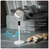 Xech Gusto - Air Circulator Fan, your solution for fresh, powerful air - White