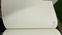 Hawamahal Semi Rough 276page