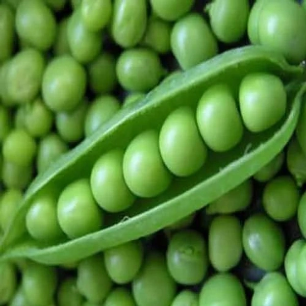 Green Peas (Matar)