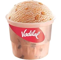 Vadilal Butterscotch Ice Cream