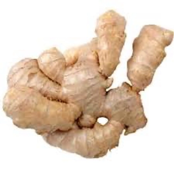 Ginger Root