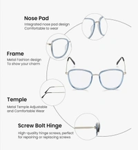 Oval frame - 50.MM, Humming Bird, 0.00 AND -4.00 SPH -0.00 AND-2.00 CYL BLUE CAT LENS