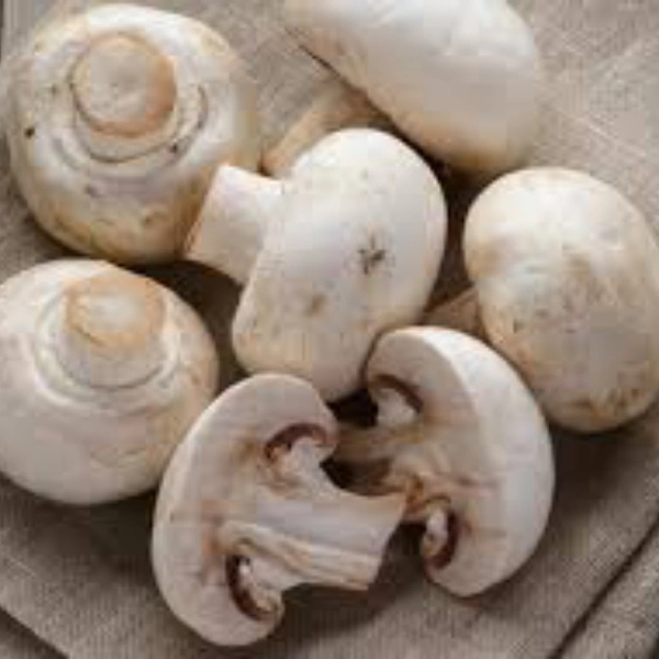 Mushroom