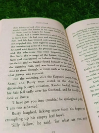 The Room on the Roof by Ruskin Bond – A Coming-of-Age Classic Set in Vibrant Indian Town Life