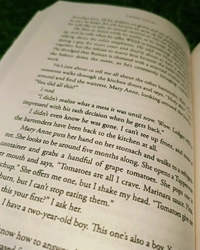 Reminders of Him By Colleen Hoover | Heartbreaking Romance Novel, Top-Selling Fiction, Emotional Love Story Book