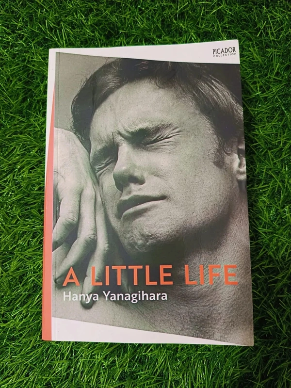 A Little Life by Hanya Yanagihara | Emotional Literary Fiction, LGBTQ+ Drama Novel, Critically Acclaimed Bestseller