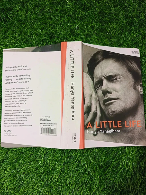 A Little Life by Hanya Yanagihara | Emotional Literary Fiction, LGBTQ+ Drama Novel, Critically Acclaimed Bestseller
