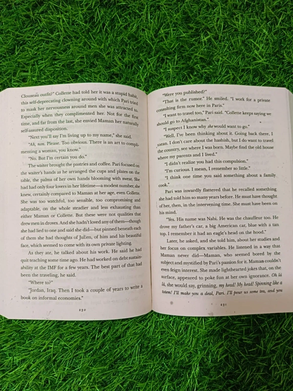 And the Mountains Echoed by Khaled Hosseini | Family Saga Book, Heart-Touching Fiction, International Bestseller