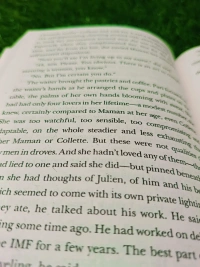 And the Mountains Echoed by Khaled Hosseini | Family Saga Book, Heart-Touching Fiction, International Bestseller