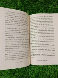 It's Not Summer Without You By Jenny Han | Summer Love Triangle, Emotional Teen Romance, Jenny Han Bestseller