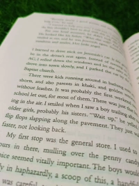 It's Not Summer Without You By Jenny Han | Summer Love Triangle, Emotional Teen Romance, Jenny Han Bestseller